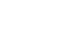 专业成就品牌